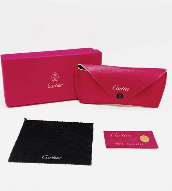 Glasses Case